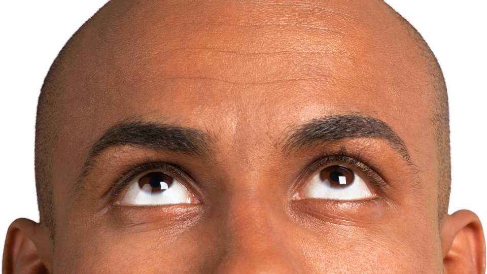 those who abuse alcohol are at a higher risk for wet brain.