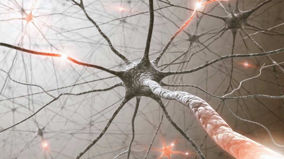 Vagus Nerve Anxiety refers to the way stress can hit your nervous system.