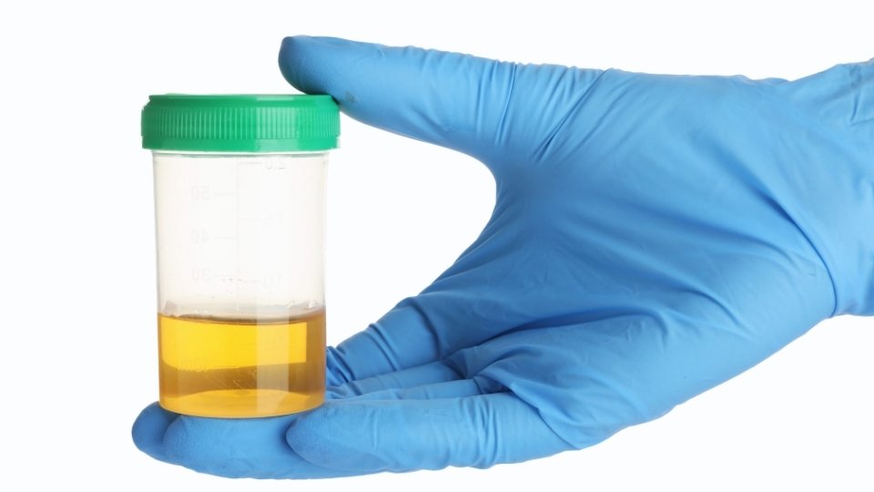 how long do benzos stay in your system detectability will depend on test type and frequency of use.